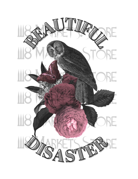 Beautiful Disaster
